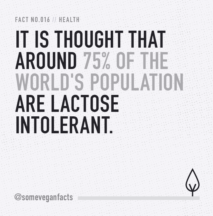 Fact 016.
Source // http://www.pcrm.org/health/diets/vegdiets/what-is-lactose-intolerance