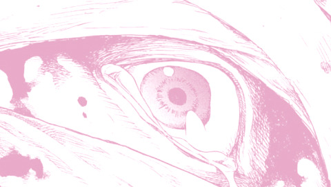 demin human ajin pastel pale pastel pink pink eye tears pain hurt loveless nothings right on this broken world