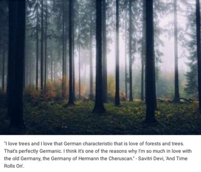 Deutsche Wälder Tumblr