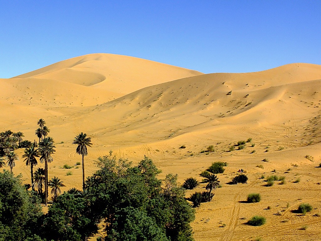 Welcome to the Maghreb - Algerian Desert