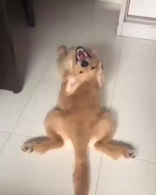awwsfordays