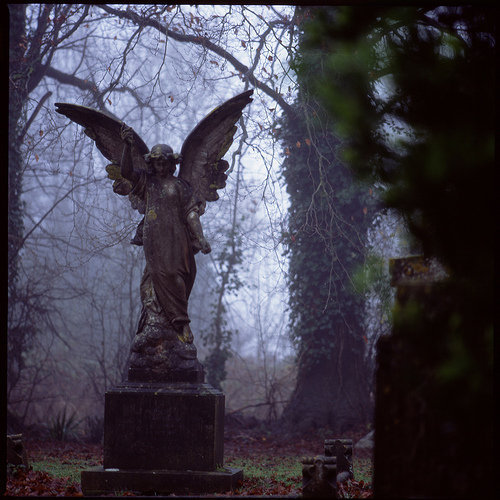 requiem-on-water:Stone Angel by Tristtesse