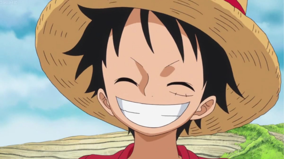 Never look directly at a Luffy smile.