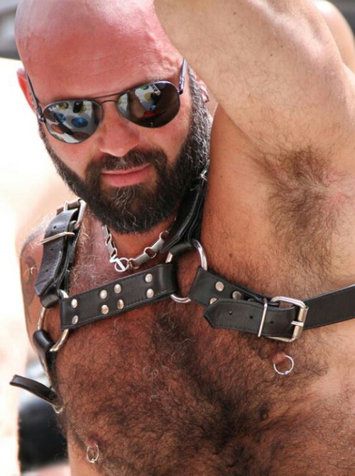 DaddyBearHunters