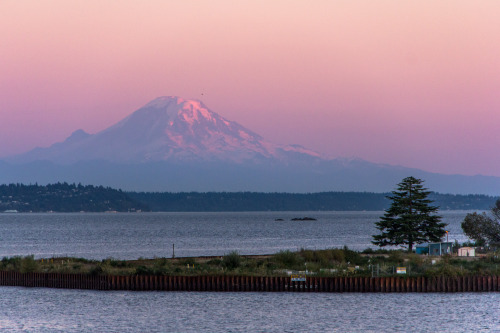 bainbridge seattle mt rainier Puget Sound sunset