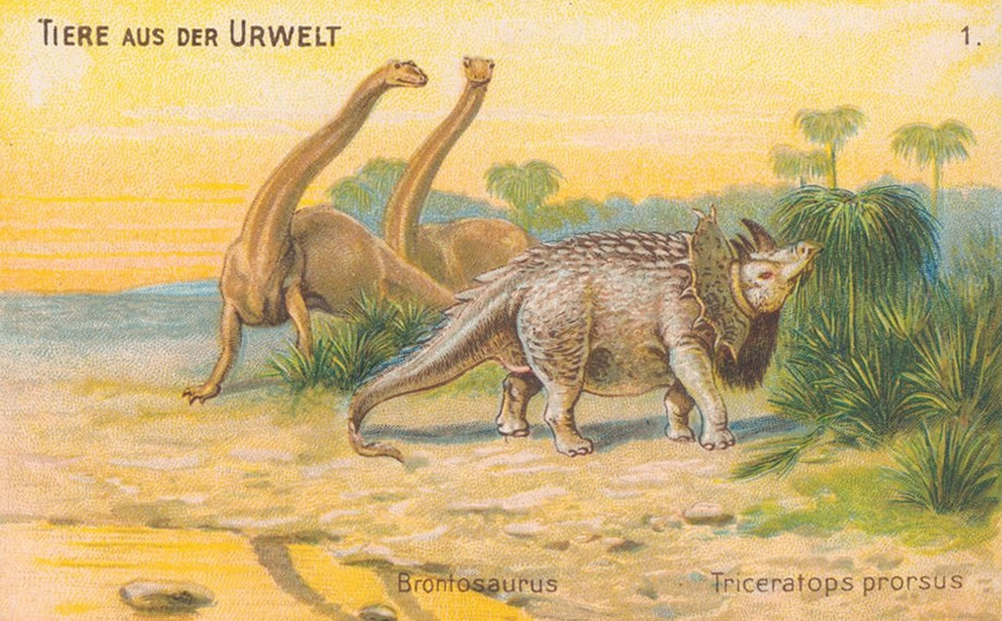 brontosaurus and triceratops