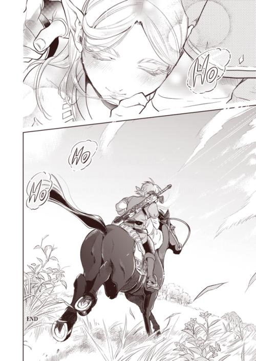 nanamename:I made my ZeLink comic English ver!My English is not...