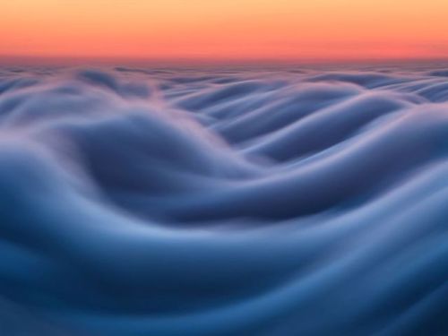 flowartstation: Fog waves: photographer Nick Steinberg captures...