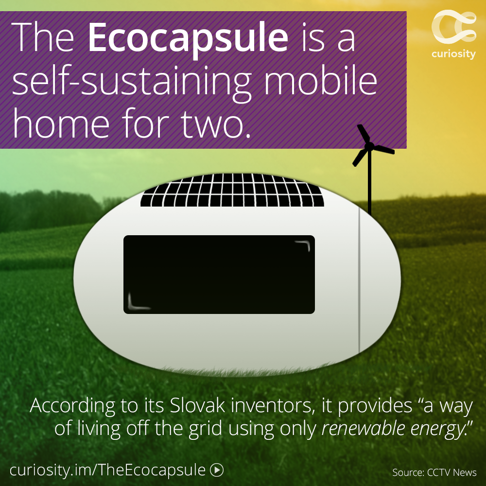 Portable Sustainable Living Inside The Ecocapsule