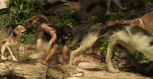 Resultado de imagem para mowgli legend of the jungle gif