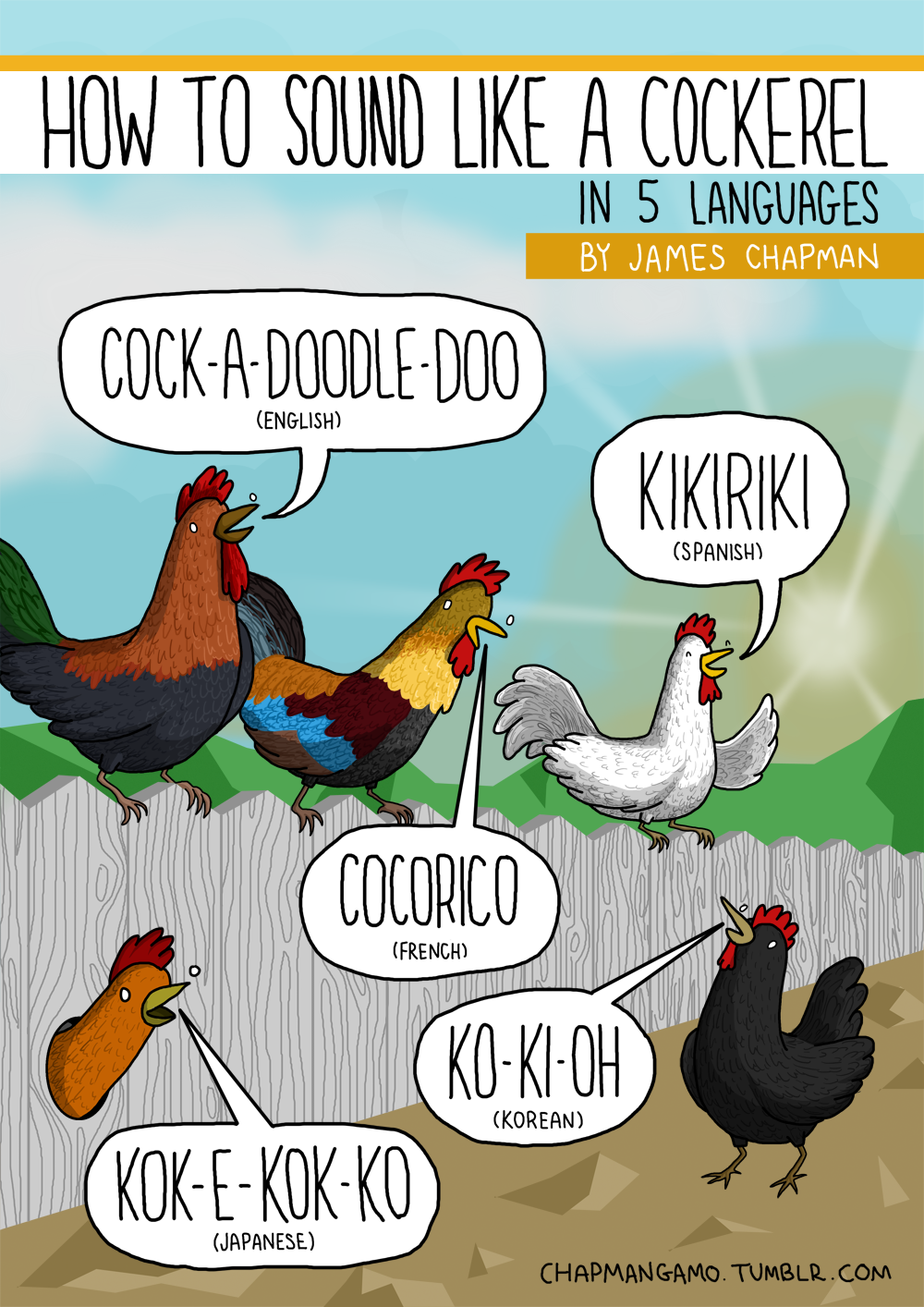 pictures-by-james-chapman-how-to-sound-like-a-cockerel-in-5-languages