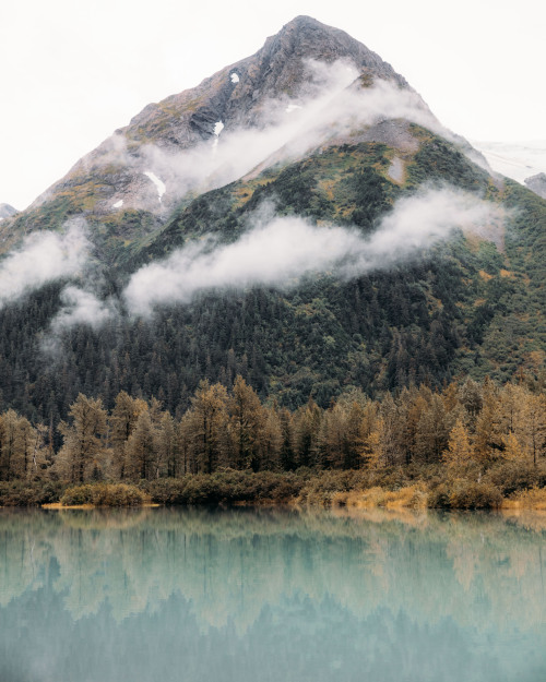 Slow waters and Fall colours in Alaska instagram.com/rishad /...