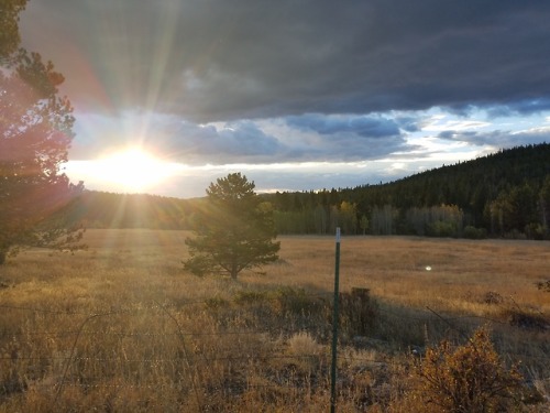 huffwell:Colorado sure is pretty.