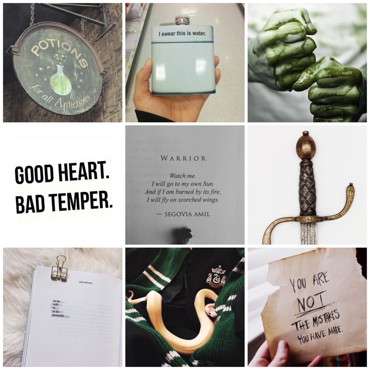 Hogwarts House Aesthetics — ISTP - Slytherin - Wampus - Leo Aesthetic ...