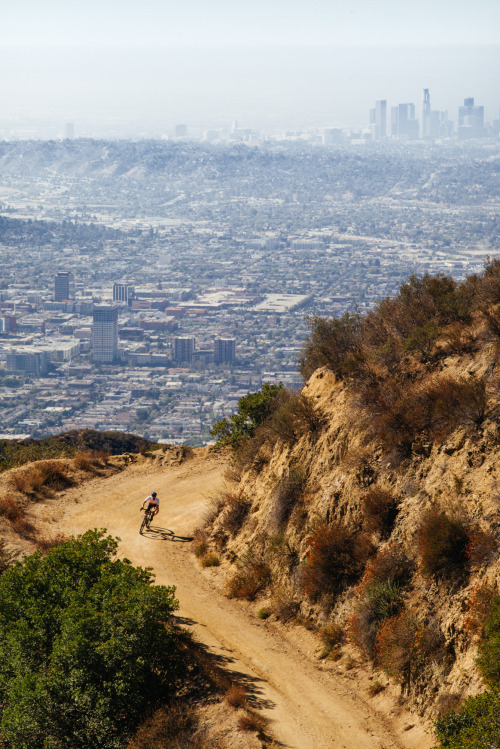 theradavist:Shredding before work.