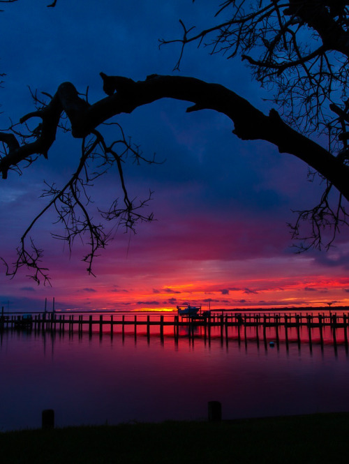 coiour-my-world:The Backyard by tc1056 | Nags Head, North...