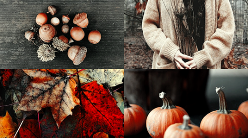 ibuzoo:1000 Picspams Challenge | #517Monthly Aesthetics -...