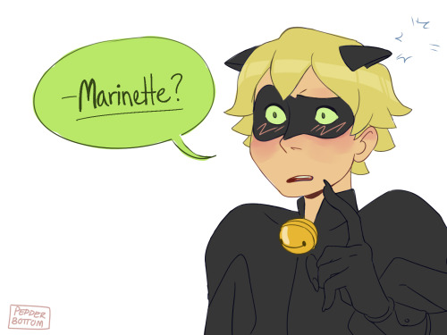 pepper-bottom:So like, what if Chat Noir gets distracted by...