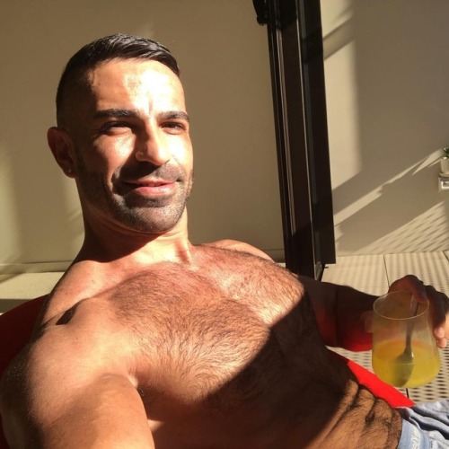 The Bear Underground - best in masculine hairy menWith over...