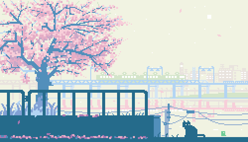 櫻花時節