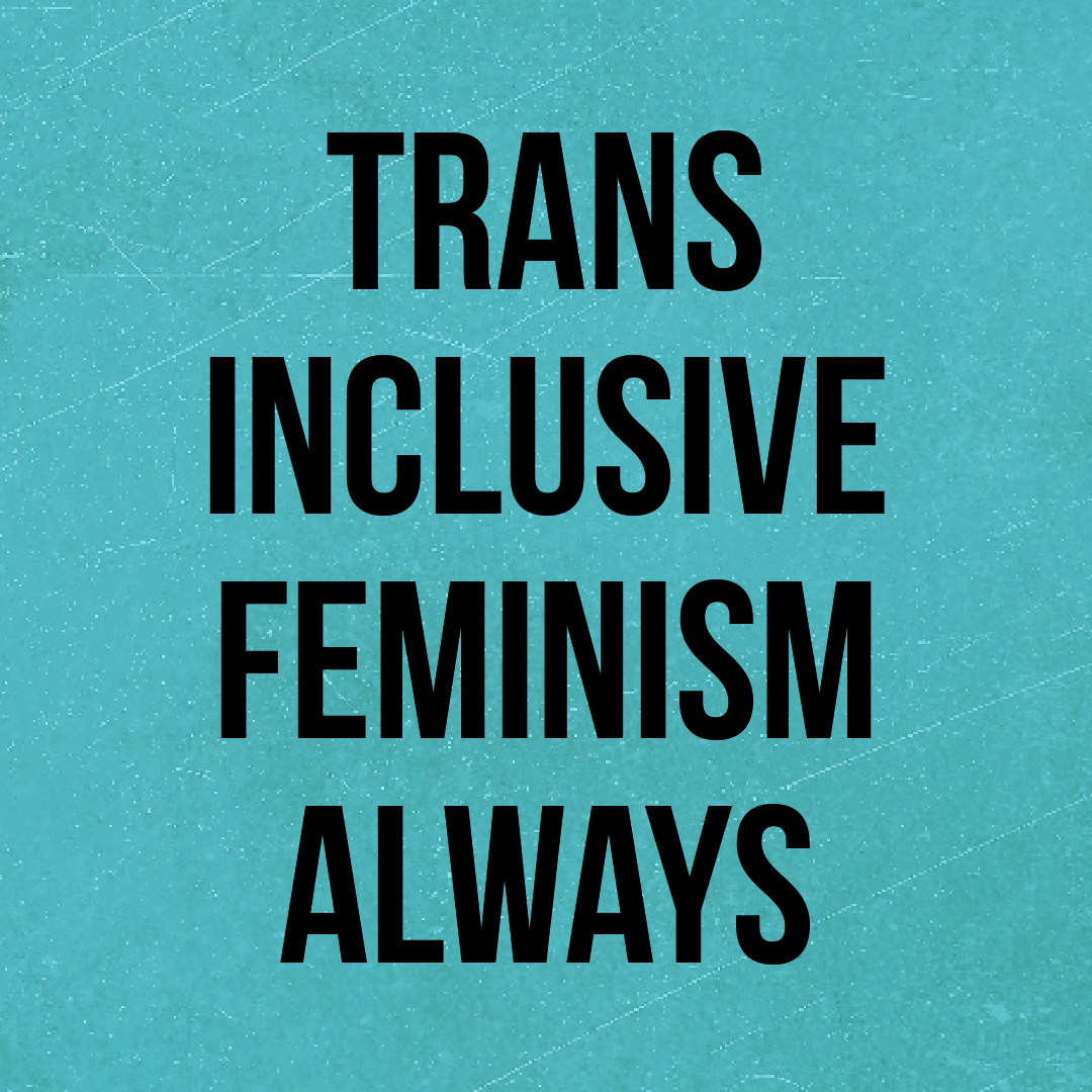 Genderqueer Positivity — (Image Description: The Words “trans Inclusive...