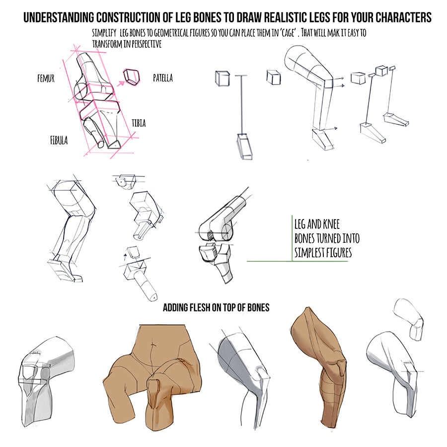 Realistic Legs Drawing