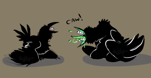 nightmaw:Have some nightmaw crows I doodled last nightcaw caw