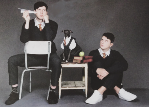 dan and phil dog calendar dan and phil dog calendar