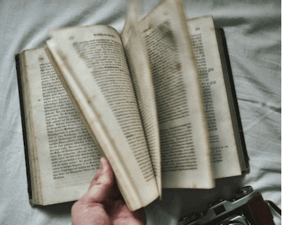 Lisez Le libraire de Wigtown de Shaun Bythell et découvrez l’envers du décor. Read The Diary of a Bookseller by Shaun Bythell and go behind the scenes.