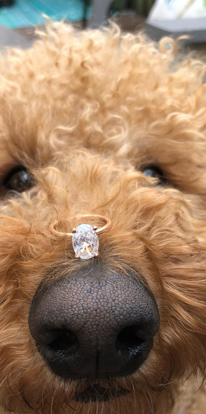 celebrity birthdays, vogue fashion, ladies, ootd, gift What do you like more, the puppy or the ring? Double tap and Comment below Photo via doodnamedfinley , weddingrings , engagementring , jewelrydesigner , fashionjewelry , whitegold , weddingring , jewelrygram, instajewelry , handmadejewelry , jewelrydesign , yellowgold , diamondsareagirlsbestfriend , jewelryforsale , jewelrylover , goldring , silverjewelry , jewelrymaking , diamondsareforever , jeweler , goldjewelry , statementring , ringbling, ringselfie , ringneck , ring