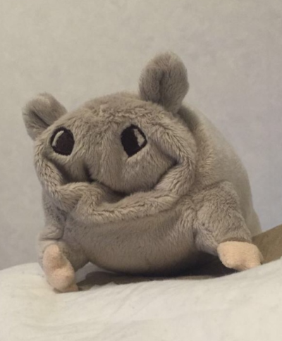 miksi
