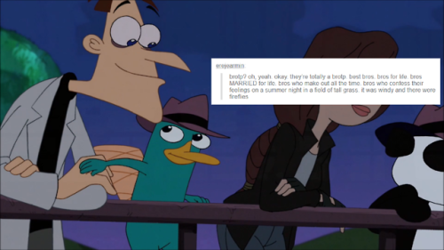 Perry The Platypus In Love Fanfic