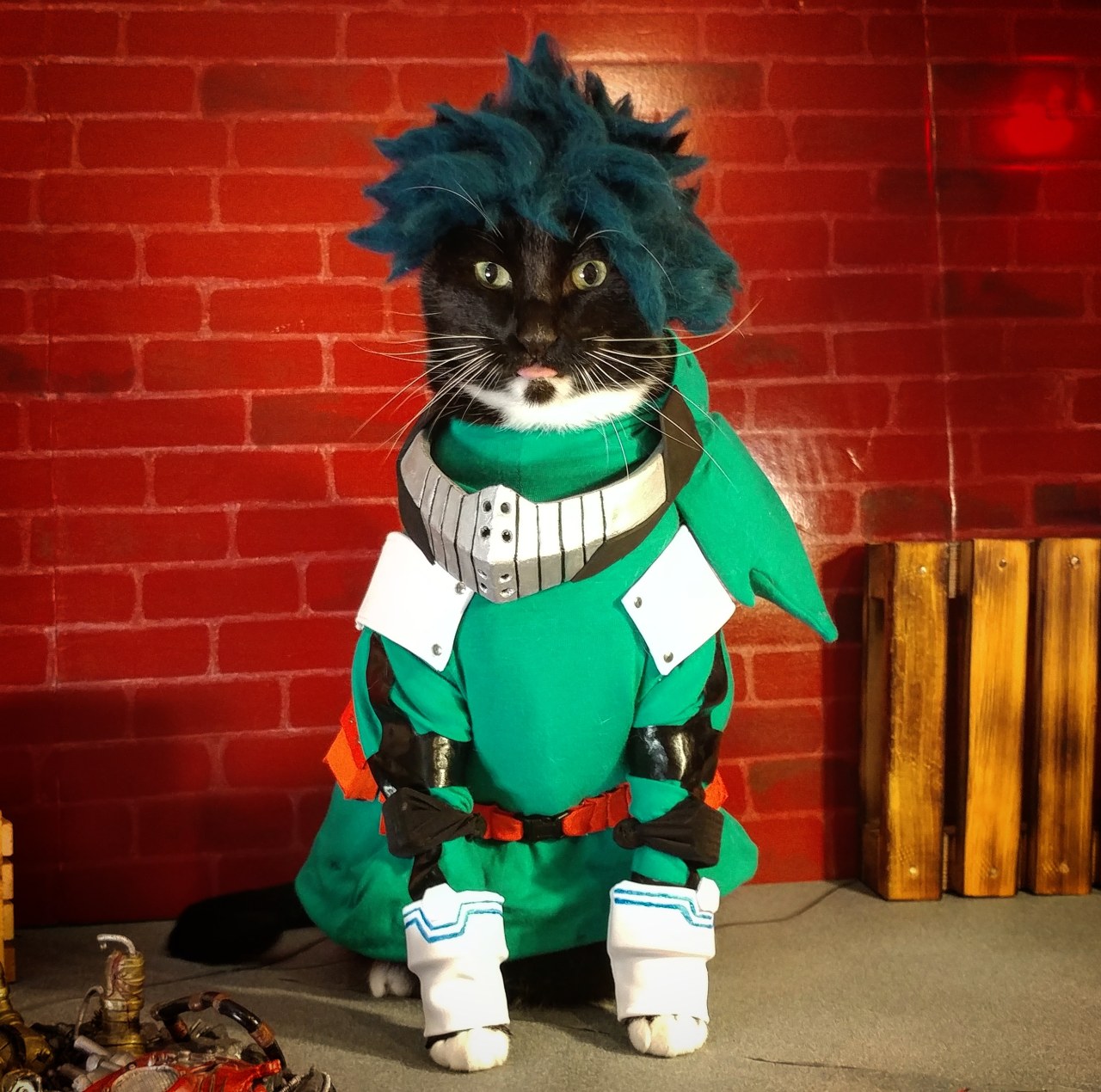 Heroes of cosplay cats