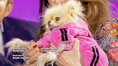 Punkee Investigates: Is Giggy, Star Of 'RHOBH' Actually OK?