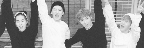 exolqicons