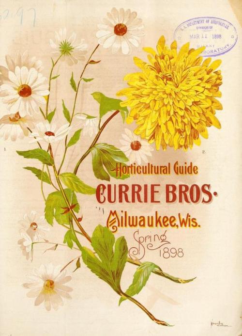 heaveninawildflower:Spring seed catalogues (from late 1800′s to...