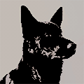 [Image: tumblr_pigxv7AL0n1wwkc82o5_250.png]