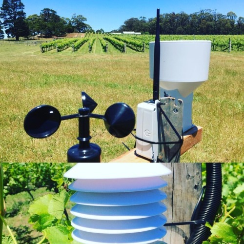 <p>Cuttaway Hill wines now part of the Smarter Vineyards program with reduced chemical use and cleaner wines (at Cuttaway Hill Wines)<br/>
<a href="https://www.instagram.com/p/Bq0_NPjBVtY/?utm_source=ig_tumblr_share&igshid=kaeywxf86o4s">https://www.instagram.com/p/Bq0_NPjBVtY/?utm_source=ig_tumblr_share&igshid=kaeywxf86o4s</a></p>