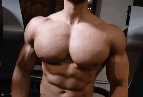 Gay pecs tumblr Gay Pecs Tumblr
