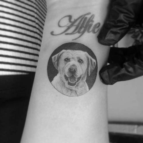 By Alexandyr Valentine, done at The Painted Lady Tattoo Studio,... small;pet;dog;single needle;animal;facebook;twitter;portrait;inner forearm;alexandyrvalentine