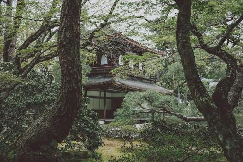 japanpix:A different view of Ginkakuji