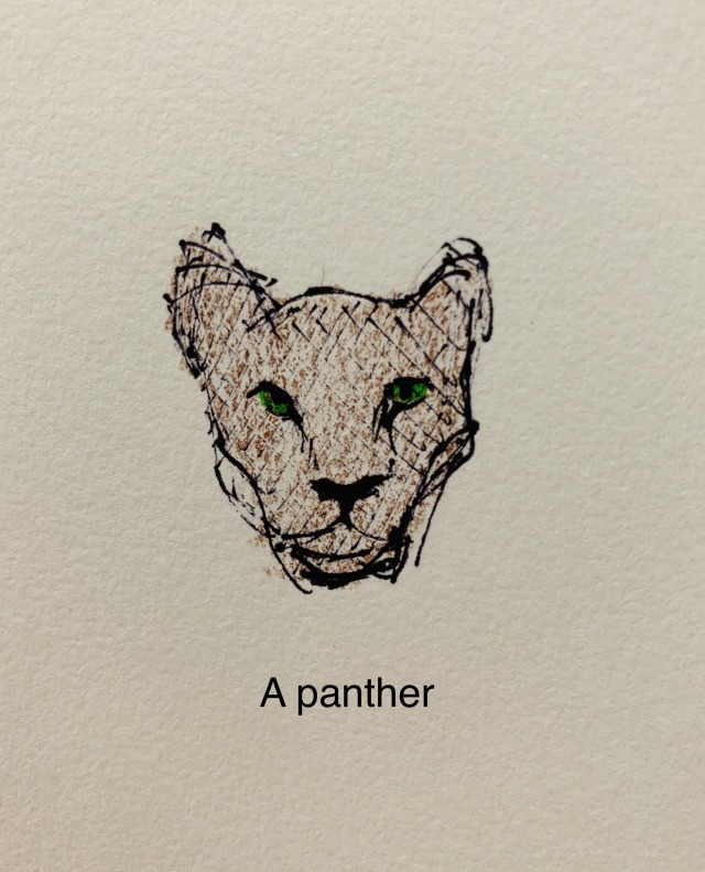  panther drawing Tumblr