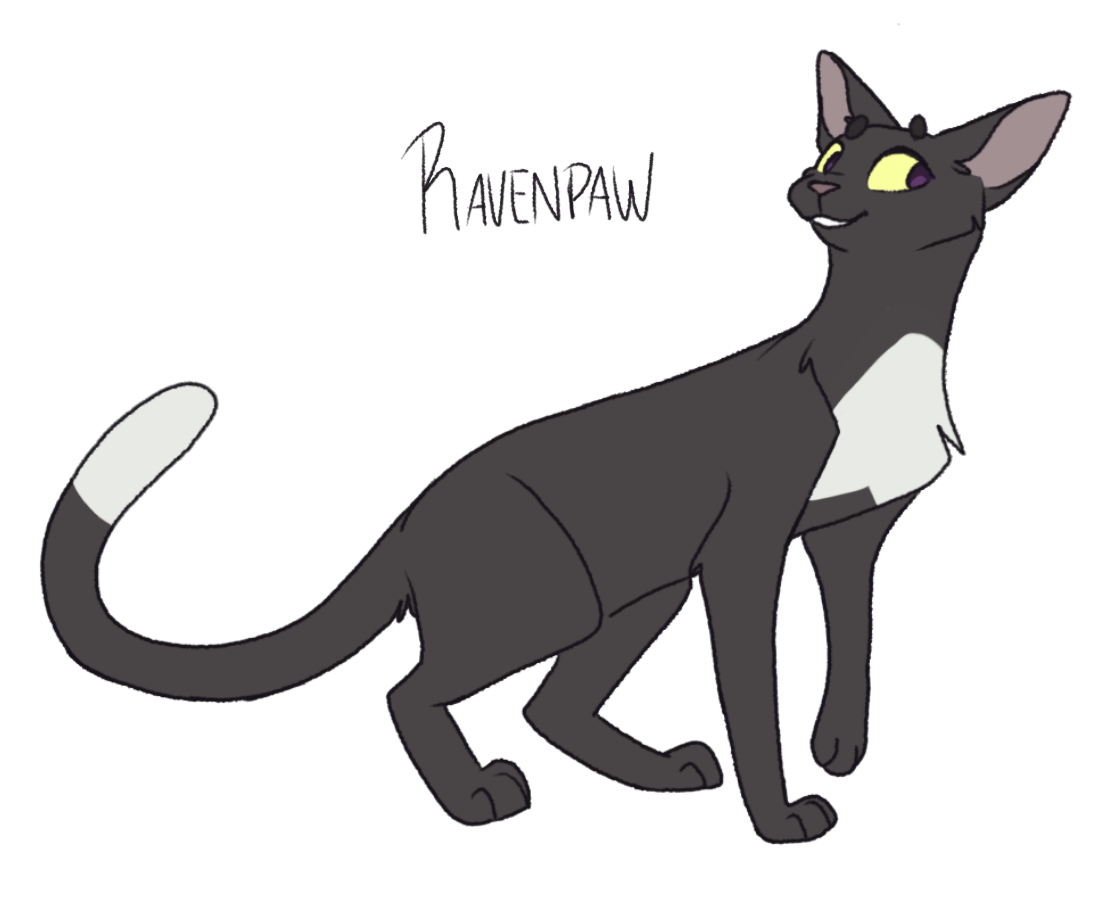 Warrior Cats! — 03. Ravenpaw ————- I always imagined him being...