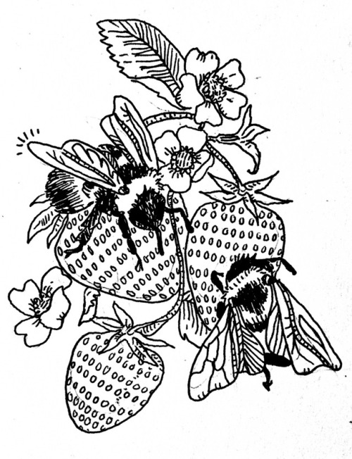 poeticsuggestions:Bees and strawberries.Finished tattoo...