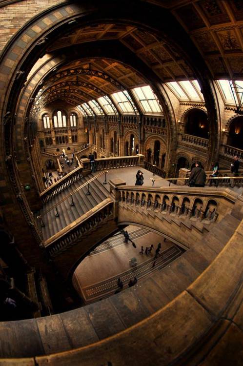 stylish-homes:The Natural History Museum, London via reddit