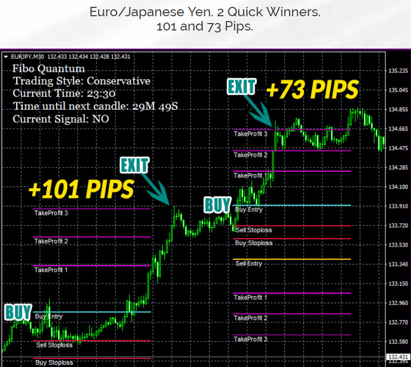 Forex quantum indicator