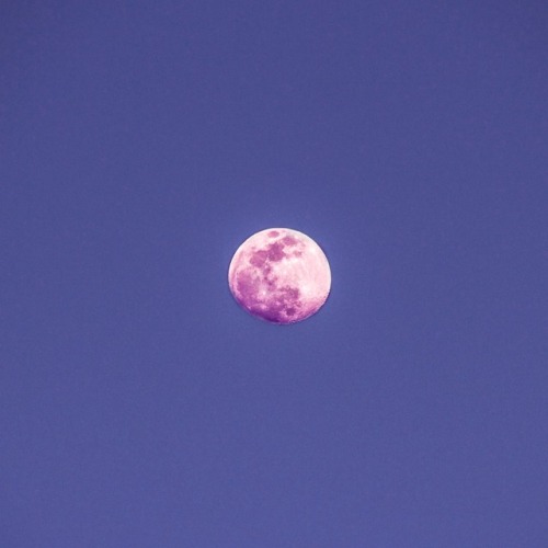 moon photography on Tumblr