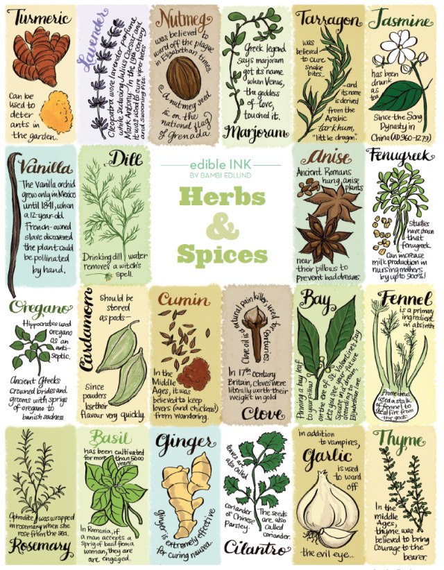 herbs and their uses - My Journey has no Destination