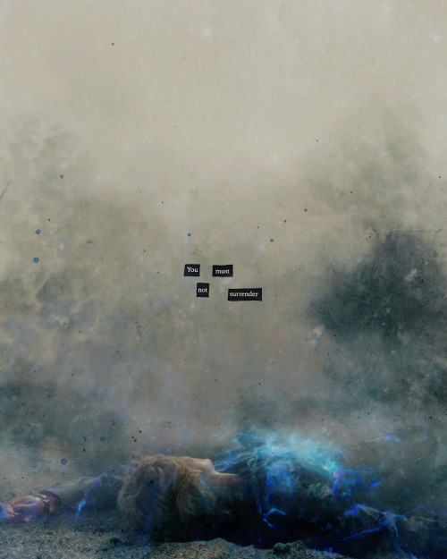 madmultiverse