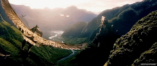 Image result for gifs of eagles flying over mountains